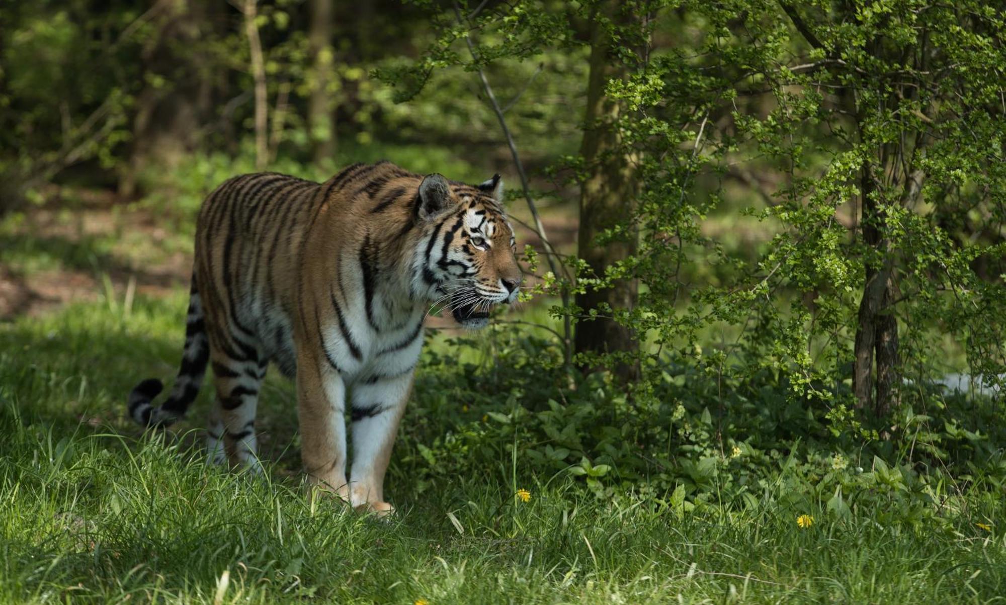 Knuthenborg Safaripark Hotel Maribo Exterior foto